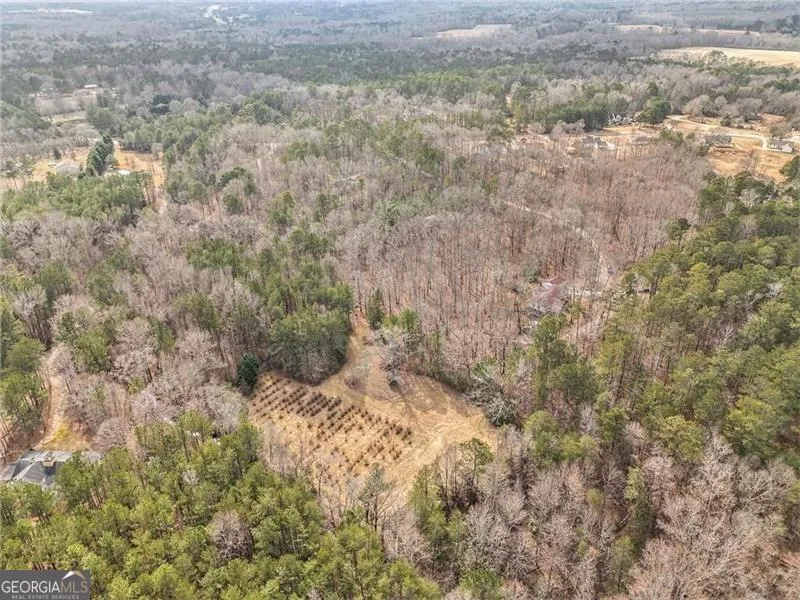 490 Dorsey RD Hampton, GA 30228