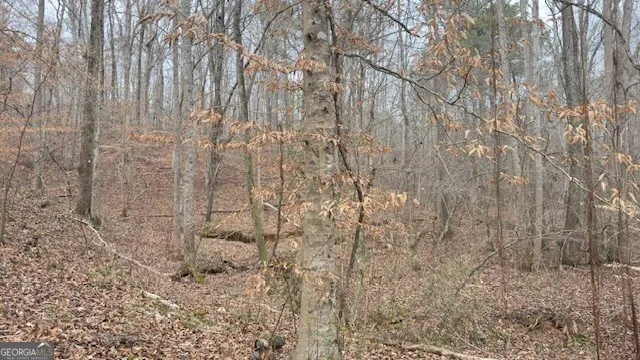 00 LOT 4 Helton RD Winston, GA 30187