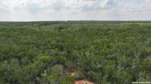 001 Hwy 16 Freer, TX 78357