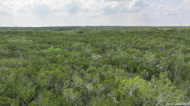001 Hwy 16 Freer, TX 78357