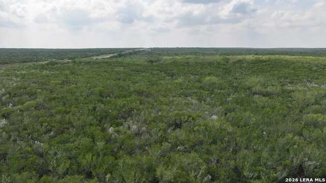 001 Hwy 16 Freer, TX 78357