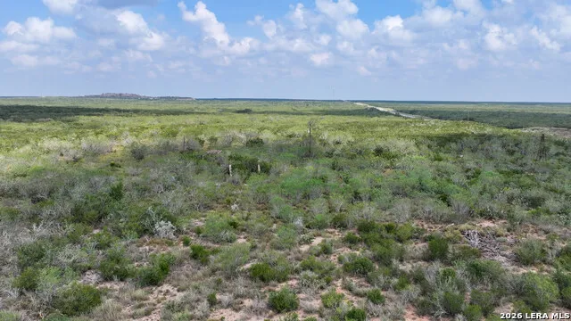 001 Hwy 16 Freer, TX 78357