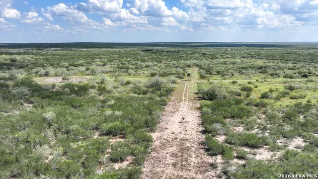 50 Ranch Road Freer, TX 78376