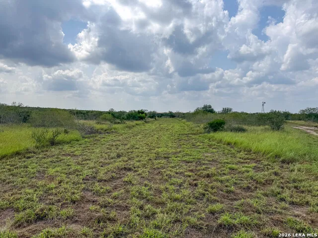50 Ranch Road Freer, TX 78376