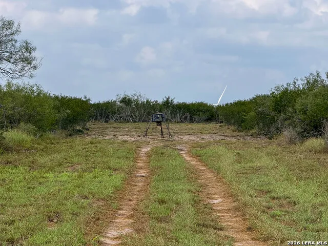 50 Ranch Road Freer, TX 78376