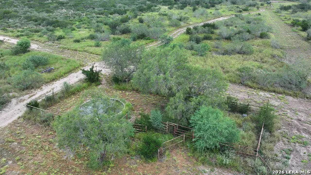 50 Ranch Road Freer, TX 78376