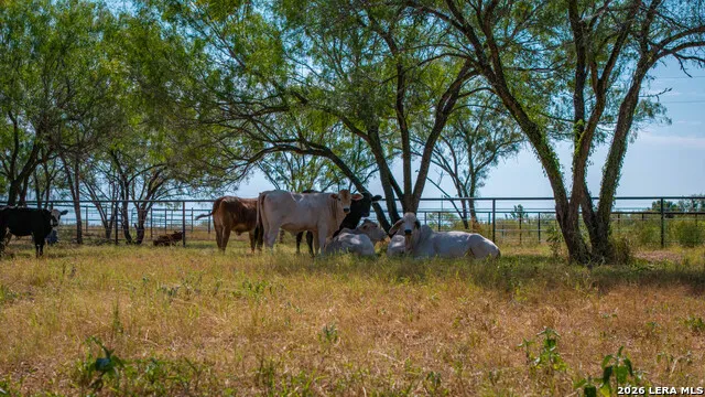 5002 fm 476 Poteet, TX 78065