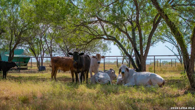 5002 fm 476 Poteet, TX 78065
