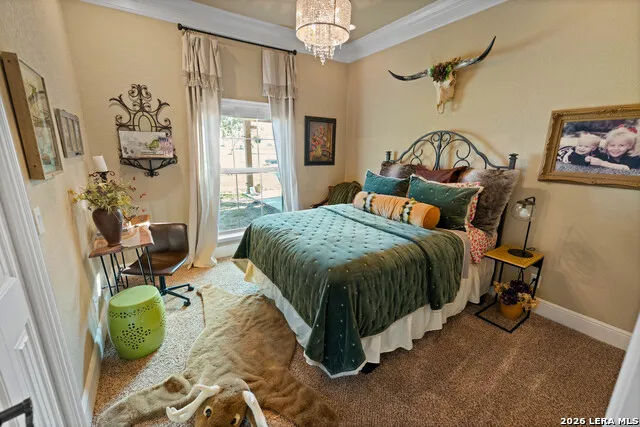 5002 fm 476 Poteet, TX 78065