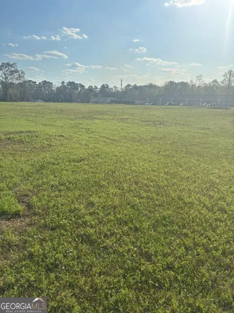 0 SOUTH PETERS Claxton, GA 30417