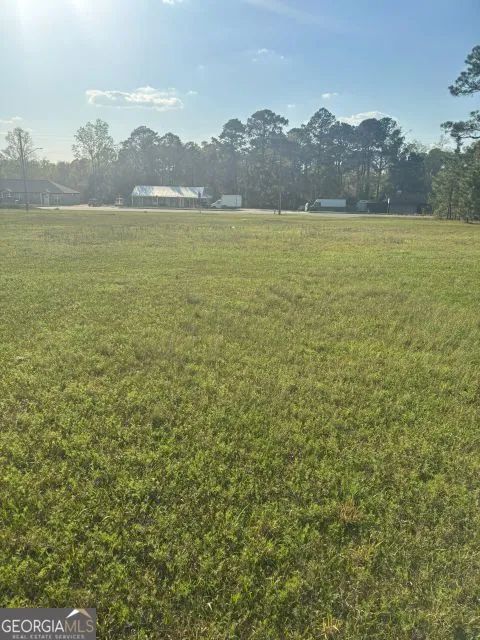 0 SOUTH PETERS Claxton, GA 30417