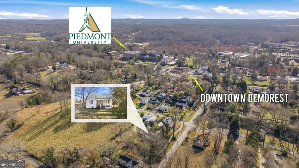 314 Holley ST Demorest, GA 30535