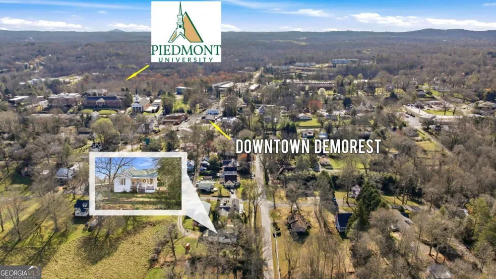 314 Holley ST Demorest, GA 30535