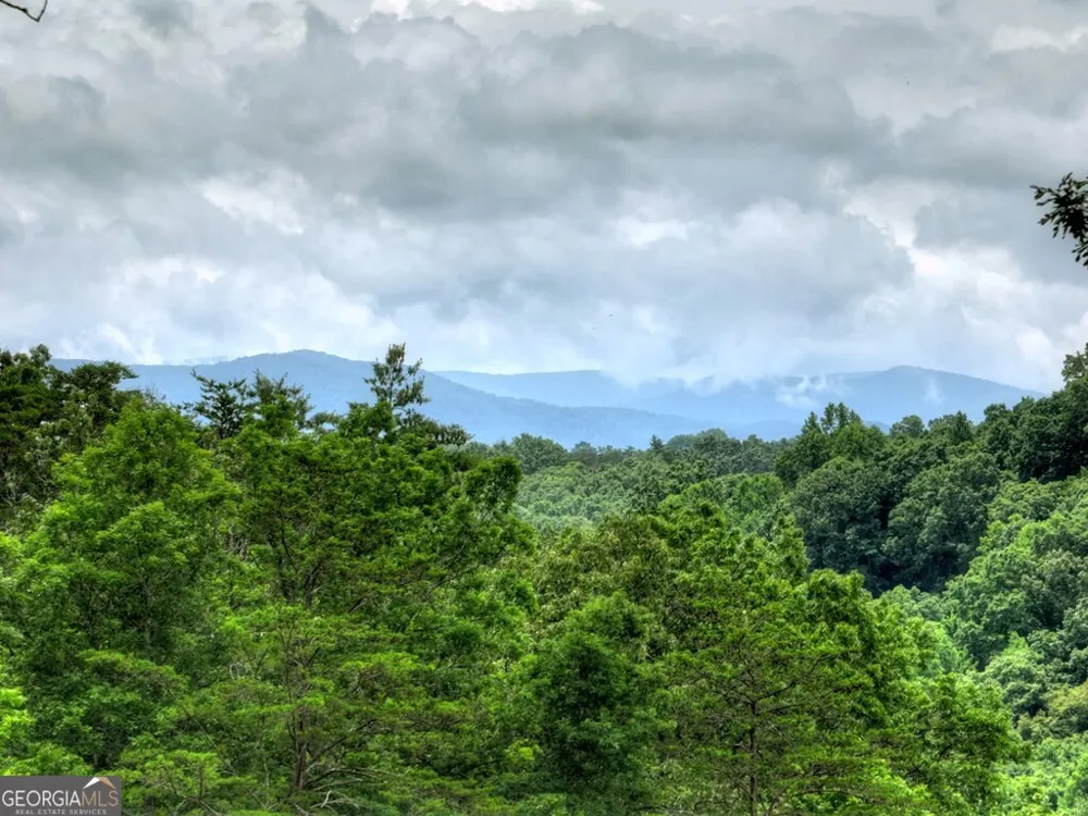658 Old Toccoa LOOP Mineral Bluff, GA 30559