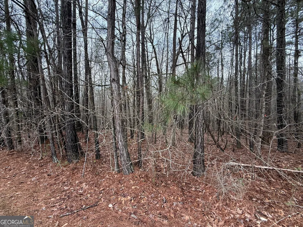 0 Cheryl ST Luthersville, GA 30251