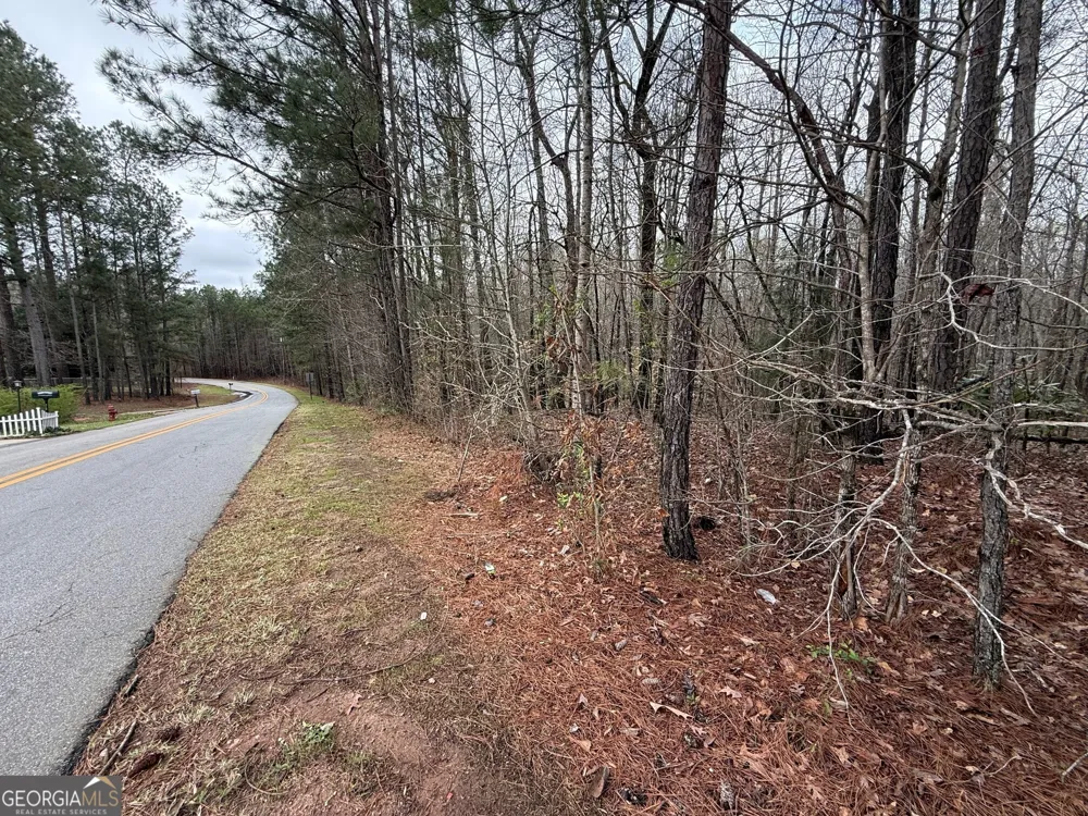 0 Cheryl ST Luthersville, GA 30251