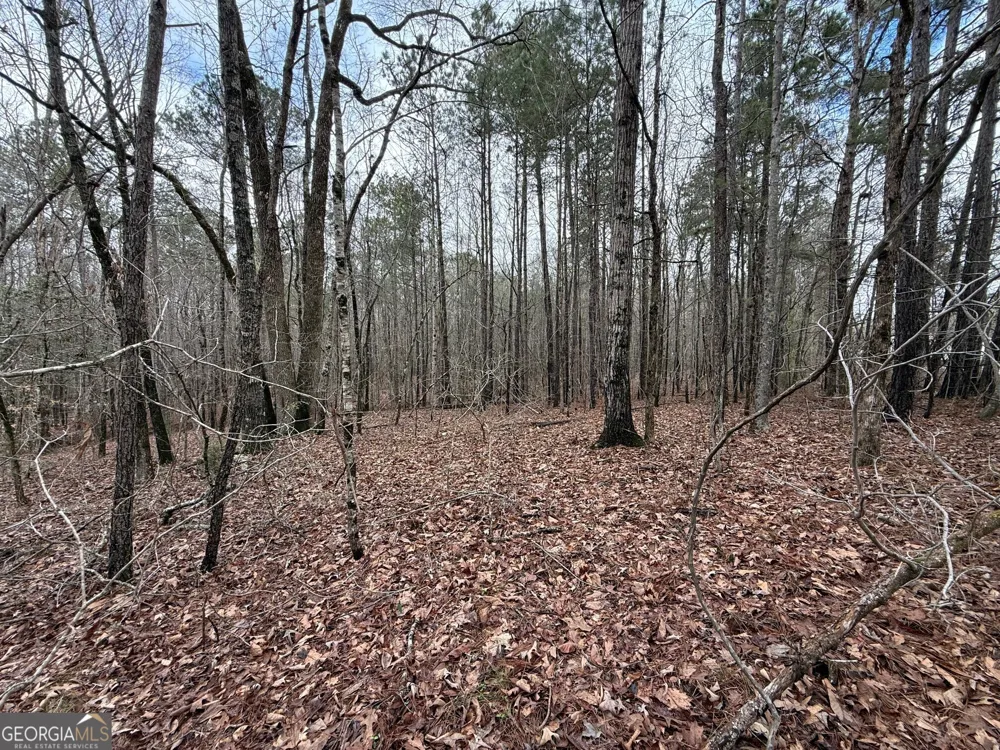 0 Cheryl ST Luthersville, GA 30251