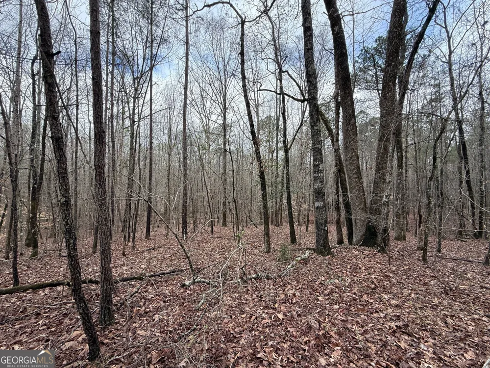 0 Cheryl ST Luthersville, GA 30251