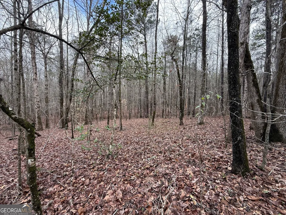 0 Cheryl ST Luthersville, GA 30251