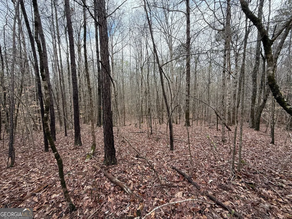 0 Cheryl ST Luthersville, GA 30251