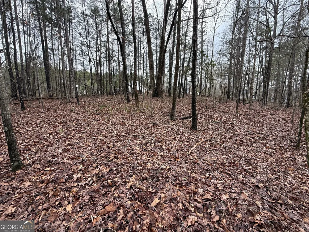 0 Cheryl ST Luthersville, GA 30251