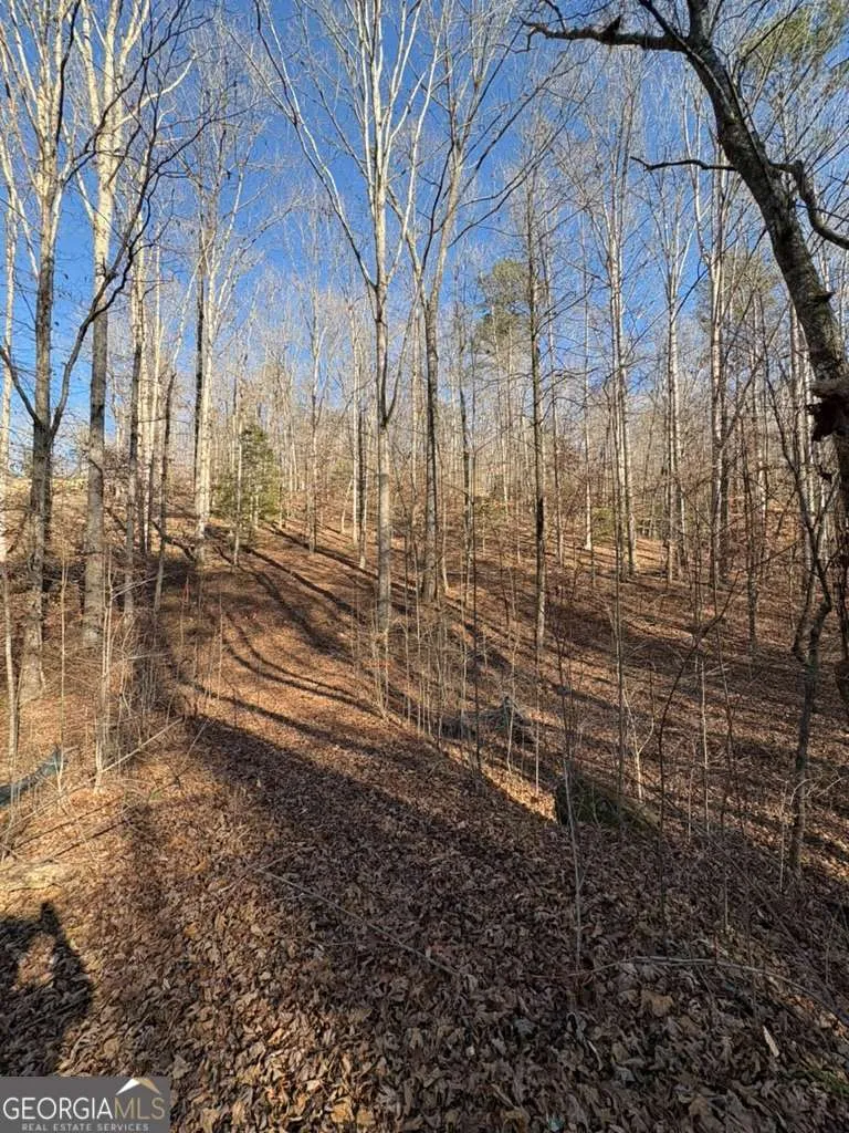 0 Gold View DR Dahlonega, GA 30533