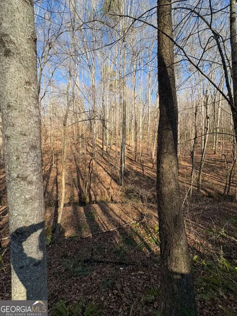 0 Gold View DR Dahlonega, GA 30533