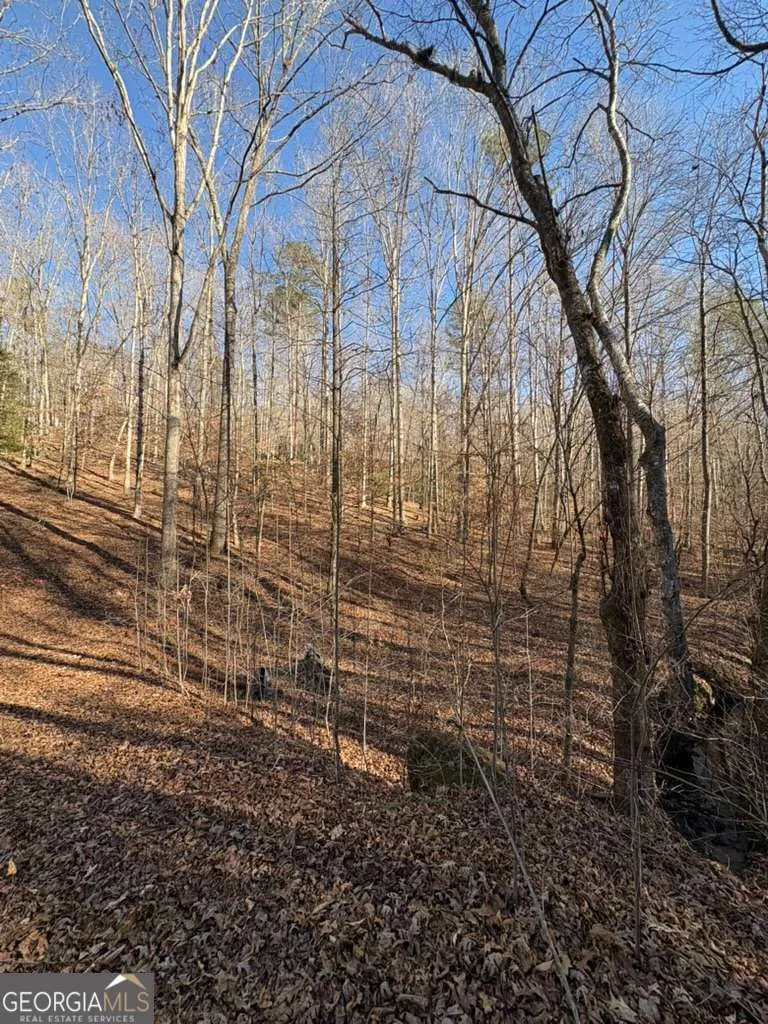 0 Gold View DR Dahlonega, GA 30533