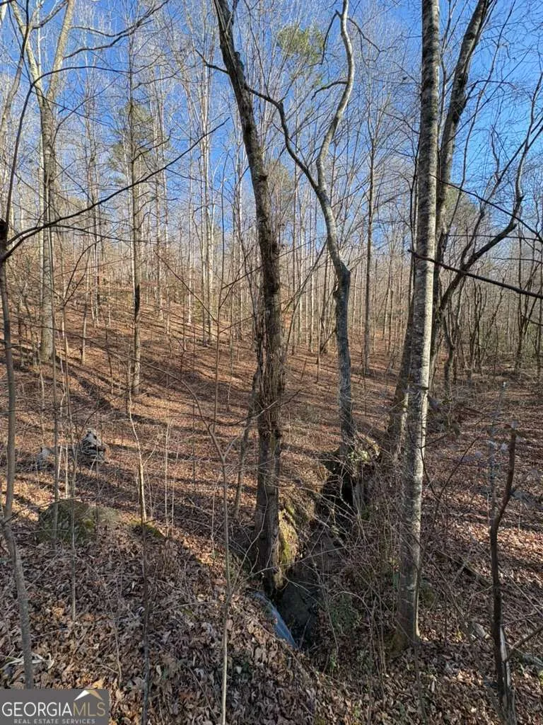 0 Gold View DR Dahlonega, GA 30533