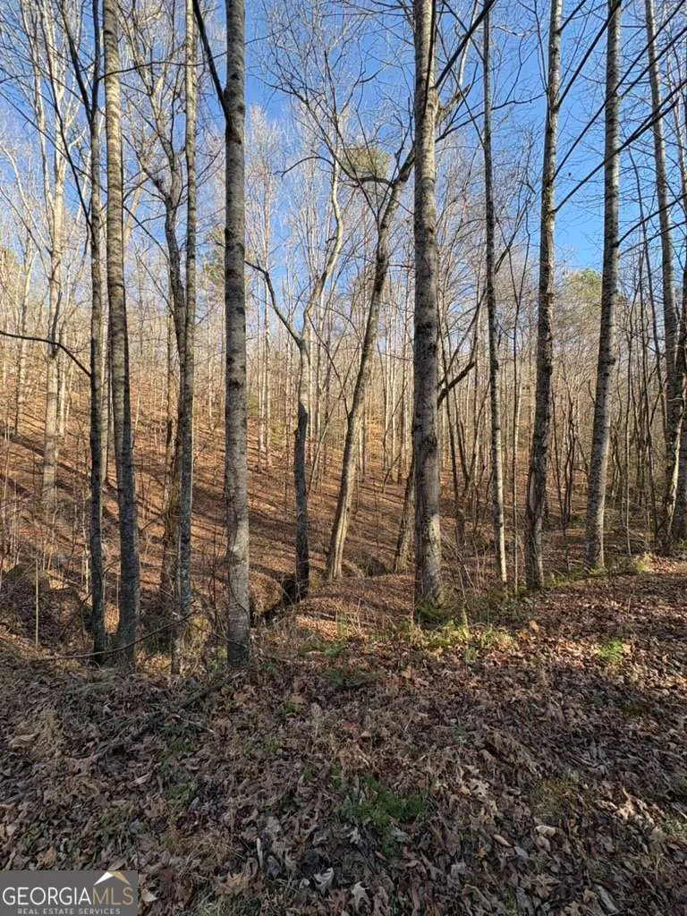 0 Gold View DR Dahlonega, GA 30533