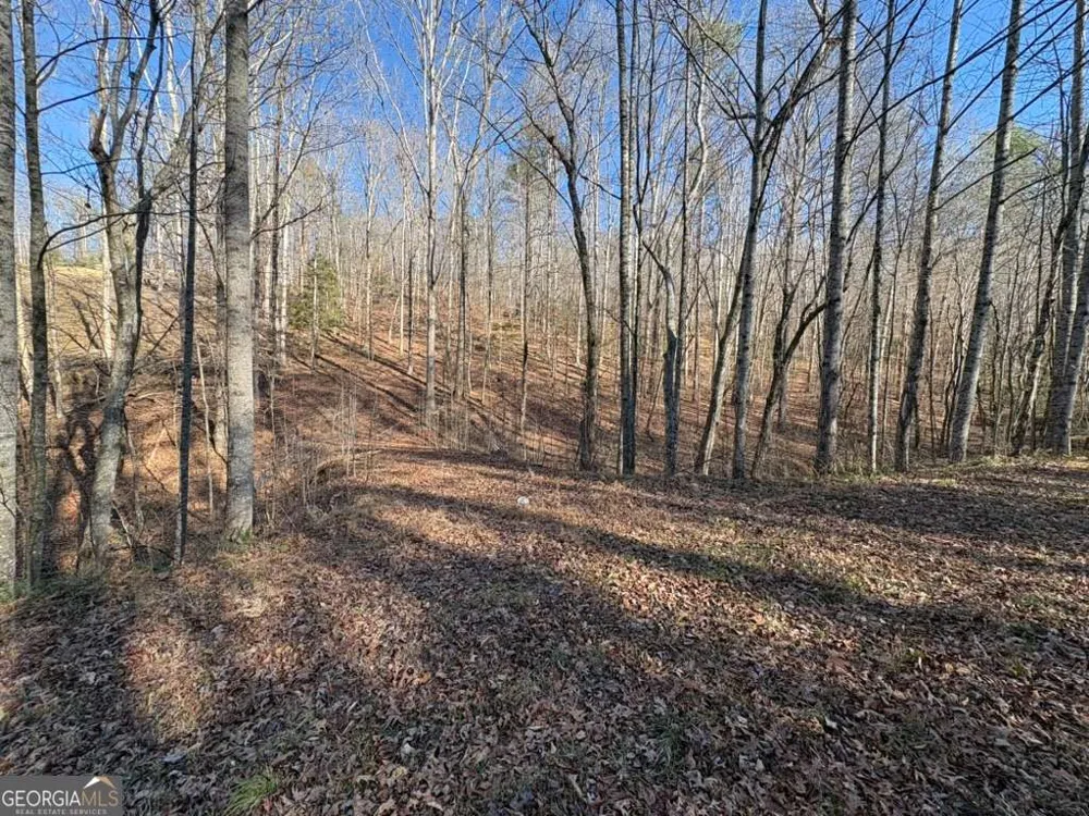 0 Gold View DR Dahlonega, GA 30533