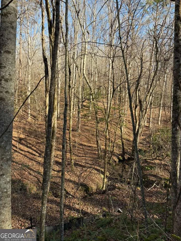 0 Gold View DR Dahlonega, GA 30533