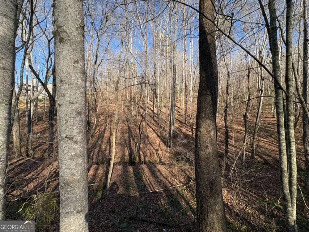 0 Gold View DR Dahlonega, GA 30533