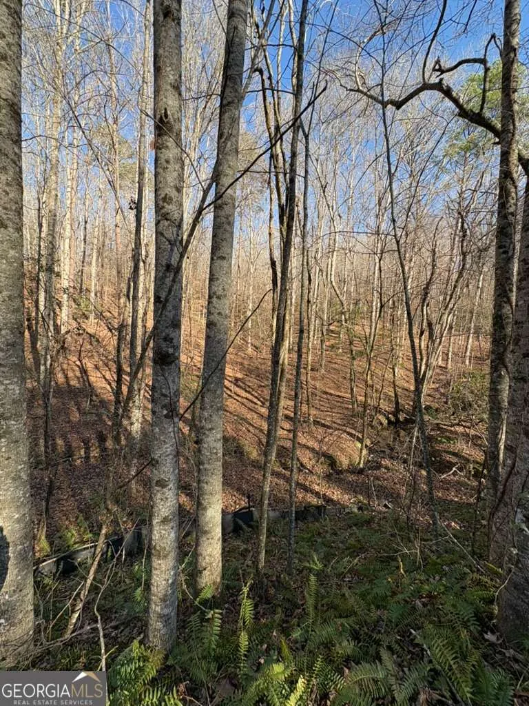 0 Gold View DR Dahlonega, GA 30533
