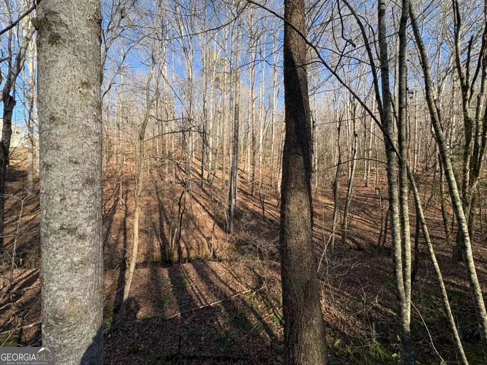 0 Gold View DR Dahlonega, GA 30533