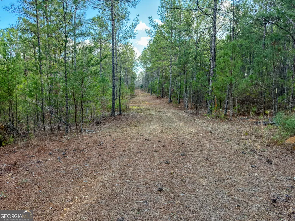 1304 Broad ST Tallapoosa, GA 30176