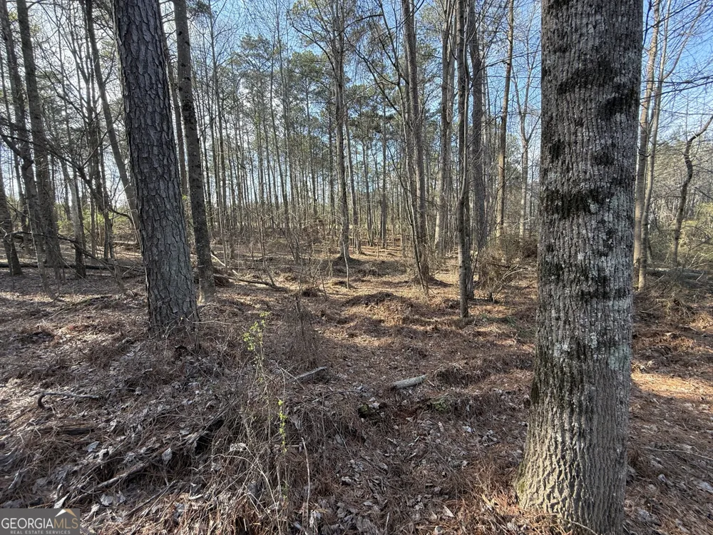 3108 Bold Springs RD Dacula, GA 30019