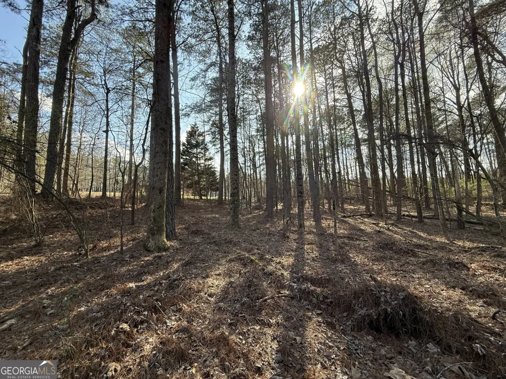 3108 Bold Springs RD Dacula, GA 30019