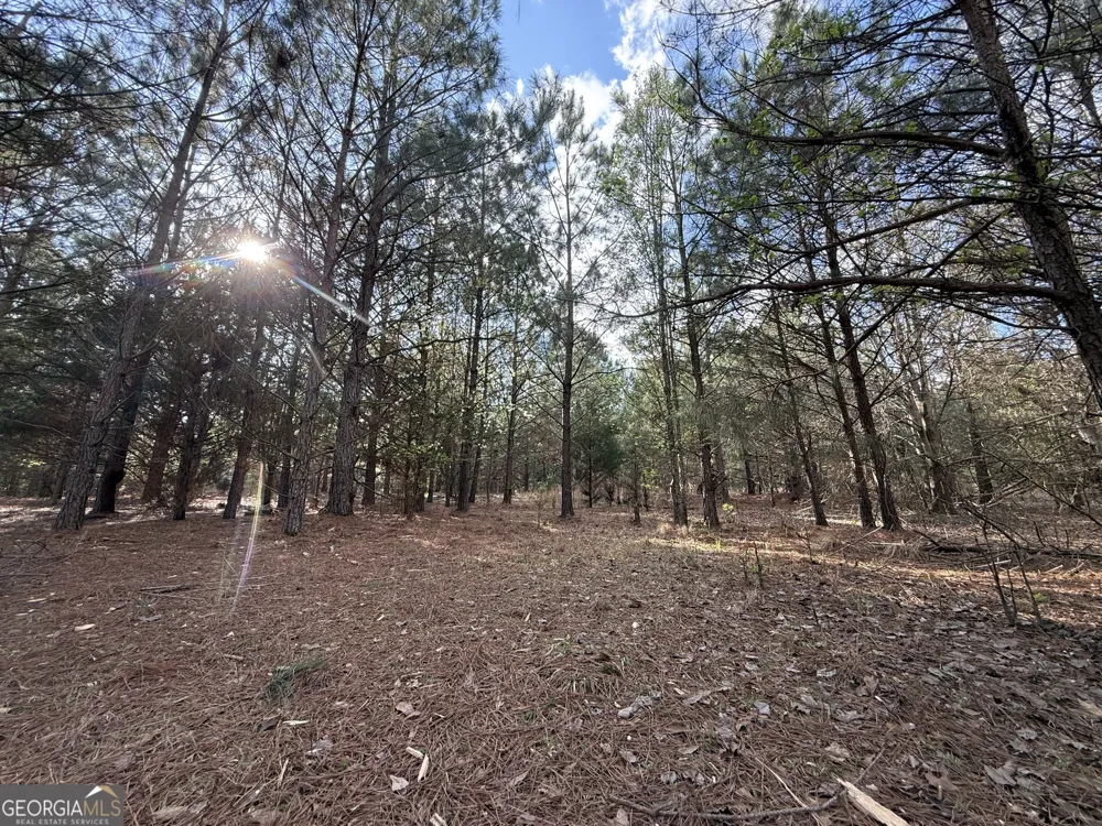 3108 Bold Springs RD Dacula, GA 30019