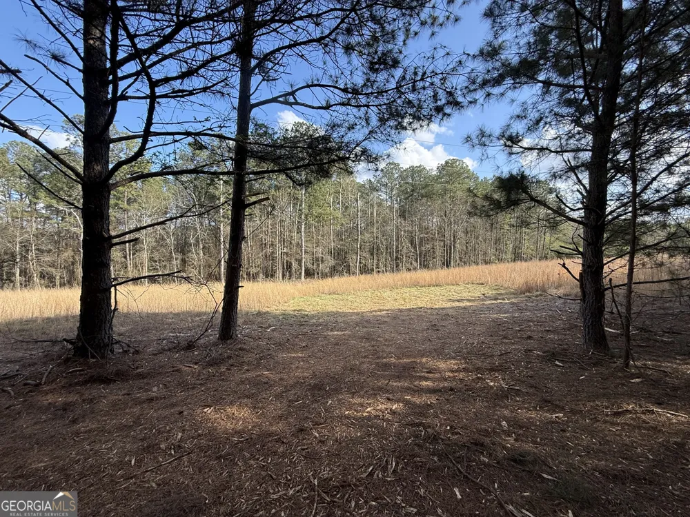 3108 Bold Springs RD Dacula, GA 30019