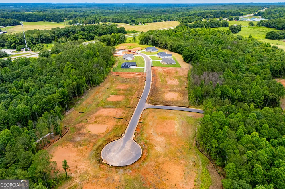 133 Woodford DR Roopville, GA 30170