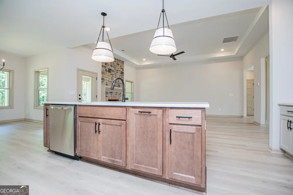 133 Woodford DR Roopville, GA 30170