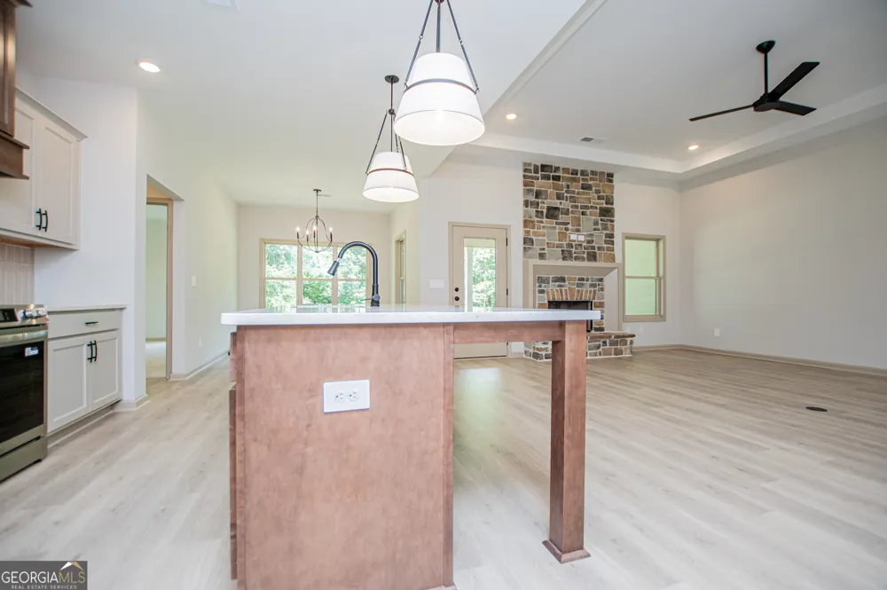 133 Woodford DR Roopville, GA 30170