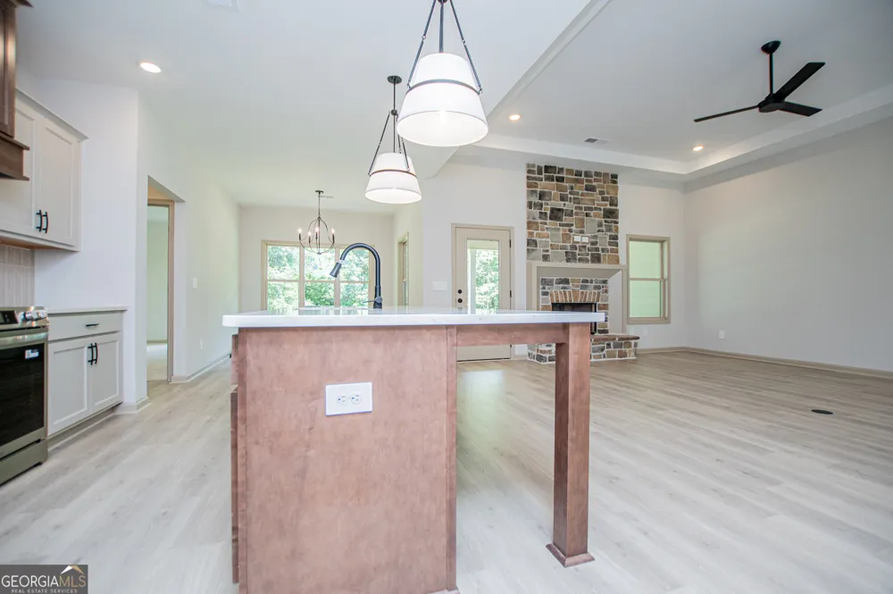 133 Woodford DR Roopville, GA 30170