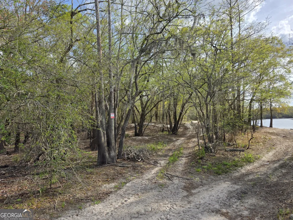 0 Highway 82 Waynesville, GA 31566