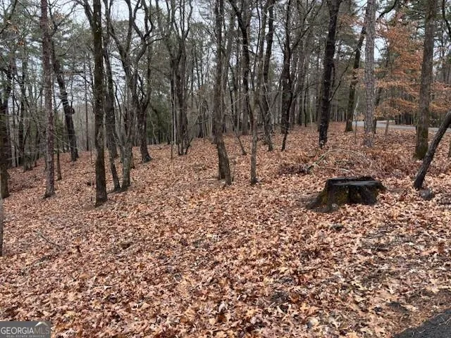 1023 Sparrows Nest Big Canoe, GA 30143