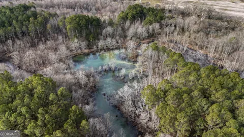 557 Acres on Taliaferro Springs RD