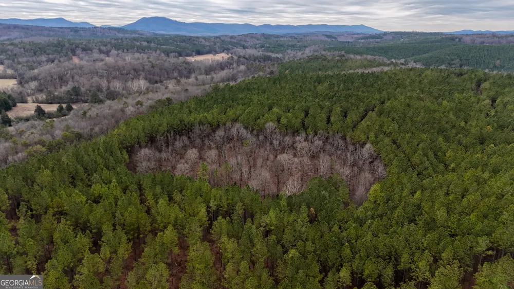 557 Acres on Taliaferro Springs RD Lyerly, GA 30730