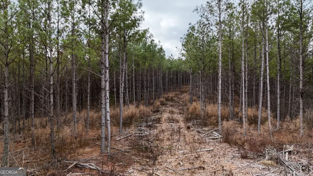 557 Acres on Taliaferro Springs RD Lyerly, GA 30730