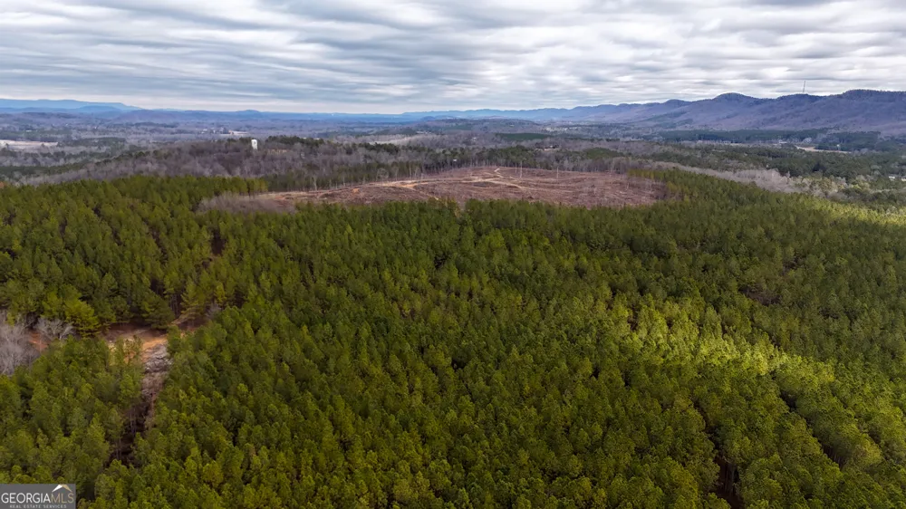 557 Acres on Taliaferro Springs RD Lyerly, GA 30730